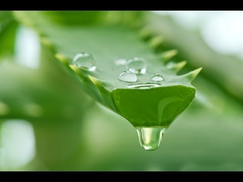 aloe_vera_gel