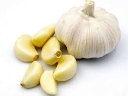 garlic_for_yeast_infection