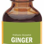 Herb Pharm Ginger 