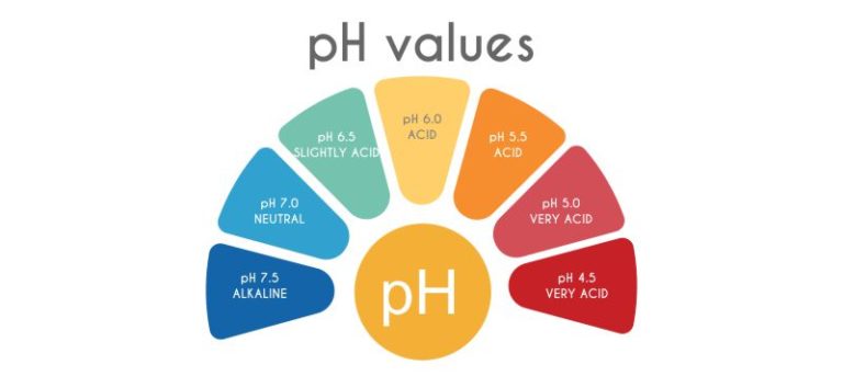 ph_balance_and_yeast_infection