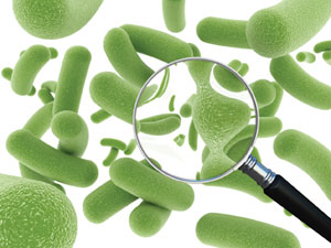 probiotics_for_candida_yeast_infection
